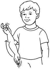 Bird In Sign Language Baby Asl How To Sign About Pets For Dummies Sign Language Book Pet Signs Sign Language Phrases