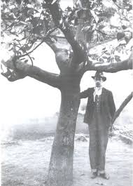 Image result for Dark Avocado 1983 Fedders