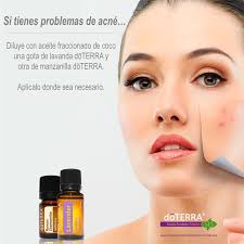 65 ideas de Esencias para guardar hoy