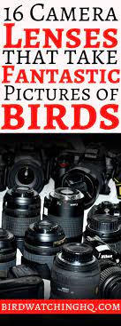 Telephoto Lenses For Wildlife Photography Budget Options For All Prices Ranges Includes Lenses For Nikon Canon Cam Canon Camera Wildlife Photography Lenses