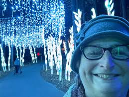 familynightout @chinese_lantern_festival @booth_amp last night. It was  sensory night, which means lower volume (in sound and number of people),  and toning down the flashy bits. The displays were inspiring, the  performers were
