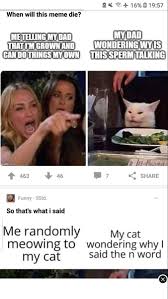 When Will This Meme Die Funny Cat Memes Funny Jokes Memes