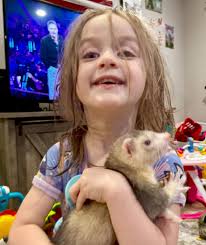 Rehoming a ferret in Vero Beach area?