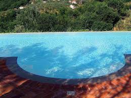 Maybe you would like to learn more about one of these? Pricing Guide How Much Does An Infinity Pool Cost Lawnstarter