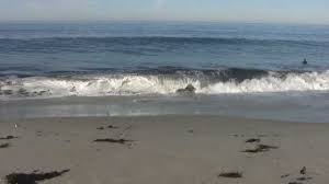 Relaxing 3 Hour Video Of California Ocean Waves Can Almost Feel The Water Come Up To Your Feet The Sand Disappearing From Ocean Waves Nature Sounds Waves