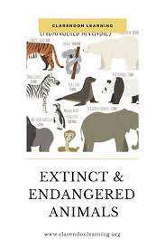 Home Clarendon Learning Extinct And Endangered Animals Endangered Animals Lessons Endangered Animals