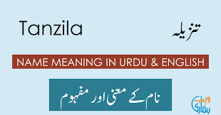 Tanzila Name Meaning Tanzila Meaning Definition Muslim Girl Name Tanzila is a unique name with impressive and heart touching meaning.