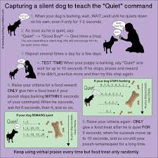 How To Stop Dog Barking Teach Your Dog The Quiet Command Stop Dog Barking Dog Training Dog Training Obedience