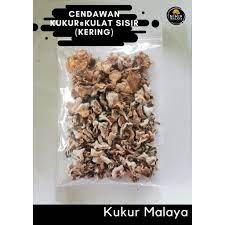 Khasiat cendawan kukur atau kulat sisir. Buy Cendawan Kukur Kulat Sisir Kering Seetracker Malaysia