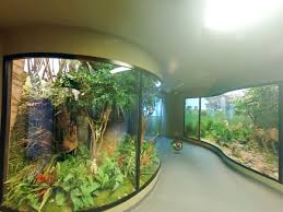 Muzeul de stiinte naturale ⭐ , romania, sibiu: Cazare Romania 2021 2022 Hotel Motel Pensiune Vila