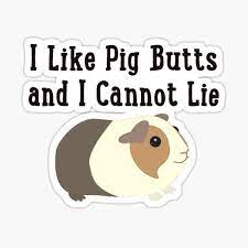 As a past guinea pig owner i love this meme. Funny Guinea Pig Stickers Redbubble