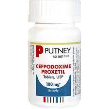 Cefpodoxime Proxetil 1800petmeds