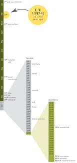 Earth S Calendar Year 4 5 Billion Years Compressed Into 12 Months Biomimicry 3 8 In 2020 Earth History Of Earth Yearly Calendar