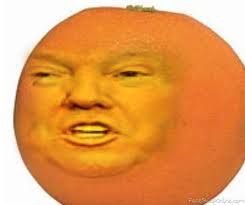 We currently have 21 articles on annoying orange wiki. Annoying Orange And Trumps Child Face Swap Online