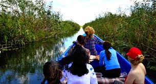 Excursii in delta dunarii 2021.vino alaturi de noi, alege o excursie in delta dunarii si descopera unul dintre cele mai frumoase locuri din europa! Excursie De 3 Zile In Delta Dunarii 9