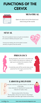 Pin On Cervix Disease