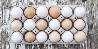 Telur ayam merupakan hasil dari ayam petelur maupun buras yang terjadi karena dibuahi dari pejantan ayam. 8 Manfaat Telur Ayam Kampung Yang Tak Boleh Diabaikan