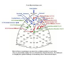 Somatotype And Sports Examples Of Famous People Michael