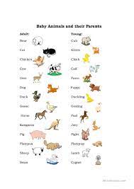 Animals worksheets and online activities. English Esl Baby Animals Worksheets Most Downloaded 9 Results