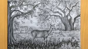 Two Deer Drawing In Pencil Draw And Shade A Forest Scenery In Pencil Pencil Sketch Youtube Open story book with halloween stories coming alive. two deer drawing in pencil draw and shade a forest scenery in pencil pencil sketch