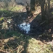 Κλιμάκιο του τμήματος εγκλημάτων κατά ζωής από την θεσσαλονίκη έφτασε πριν από λίγο στα ιωάννινα, στο σημείο που βρέθηκε η σορός του βαγγέλη γιακουμάκη. Edw Bre8hke O Baggelhs Giakoymakhs Nekros Eikona Pronews