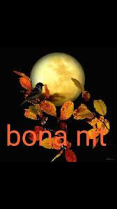 Pin De Dolors Blancafort En Imatges Bona Nit Mensajes Romanticos De Buenas Noches Saludos De Buenas Noches Buenas Noches En Catalan