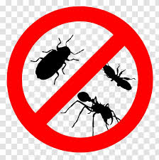 Product recommendations to exterminate bedbugs in your house or apartment. Cockroach Pest Control Bed Bug Termite Integrated Management Transparent Png