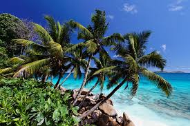 It is a republic comprising about 115 islands in the western indian ocean, with lush tropical vegetation, beautiful beaches, and diverse marine life. Wakacje Na Seszelach Wypoczynek W Raju Traveligo