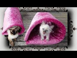 Diy 2 In 1 Magnet Hohle Liegewiese Fur Katzen Magnetic Cave For Cats Youtube