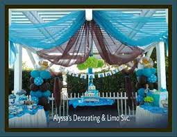 Brown And Lime Green In The Place Of The Blue Shown Here Tulle Draped To Decorate The Ceiling Baby Shower Purple Outdoor Baby Shower Baby Shower Decorations