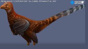Ilmuwan Temukan Spesies Ayam Mirip Dinosaurus Di Tiongkok Citizen6 Liputan6 Com