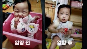 정부는 5일 정부서울청사에서 아동학대 대응 긴급 관계장관회의를 진행했다고 국무조정실과 보건복지부가 밝혔다. í•™ëŒ€ ì•Œê³ ë„ ì •ì¸ì•„ ë¯¸ì•ˆí•´ ê¸€ ë‚´ë¦° í™€íŠ¸ì•„ë™ë³µì§€íšŒ ë‰´ìŠ¤ ë™ì•„ë‹·ì»´