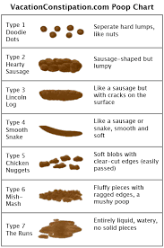 The Poop Chart Vacation Constipation