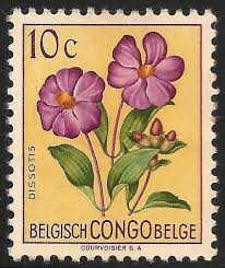 Image result for Dissotis