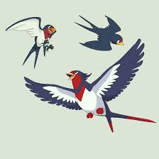 Taillow Hd Wallpapers Wallpaper Cave