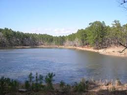 This forest is a hidden gem. Boykin Springs Recreation Area National Forests And Grasslands In Texas Recreation Gov