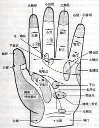 pin on 人體經絡養生保健圖