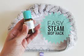 Bissell Powerfresh Deluxe Steam Mop 1806 Vs 1940 Steam Mop Hack Diy Scented Discs The Minimalist Maestra