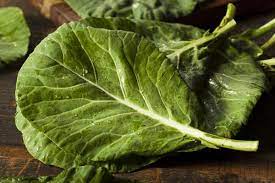 We did not find results for: Collard Greens Nc State Extension Publications