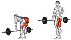 Posterior chain (back and spine) and to a lesser … Tip The Best Way To Do Romanian Deadlifts T Nation