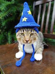 Pin On Cat Stuff Cats In Hats Lola Greenberg