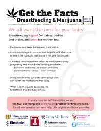 More Women Using Marijuana During Pregnancy And Breastfeeding Despite Warnings And Unknowns