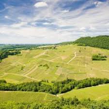 Description reviews questions & answers sometimes the smallest tool makes the biggest difference. The 10 Best Pet Friendly Hotels In France Booking Com