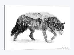 Free for commercial use no attribution required high quality images. Black White Wolf I Canvas Artwork By Andreas Lie Icanvas