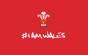 Pin By Jemeall Bouers On Welsh Rugby Rugby Wallpaper Wales Rugby Rugby