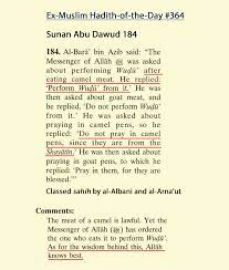 He has made us the best of creation and made other creations subservient to us. Hotd 364 Muhammad Commands Ablution After Eating Camel Meat Since They Are From The Devils Exmuslim