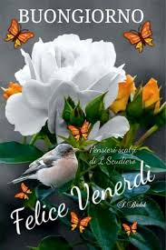 Fiori per compleanno e onomastico da regalare interflora. Pin By M Chiara D A On Un Buongiorno Per Ogni Giorno Della Settimana Love Flowers Beautiful Roses Beautiful Rose Flowers