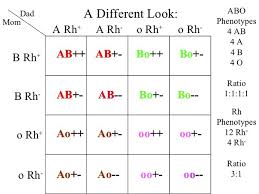 The mating between two parents is called a cross. What Is A Punnett Square And Why Is It Useful In Genetics Punnett Square Basics Monohybrid Cross Youtube It Is Named After Reginald C Erika Mulyani