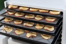 Best Food Dehydrators 2019 Buyers Guide The Safe Healthy Home