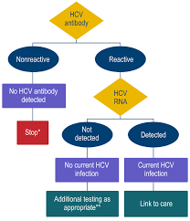 hepatitis c screening flow chart viral hepatitis and liver